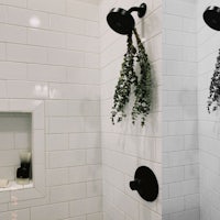 a black and white shower with a plant hanging from the shower head